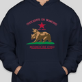 2Bear Hoodie